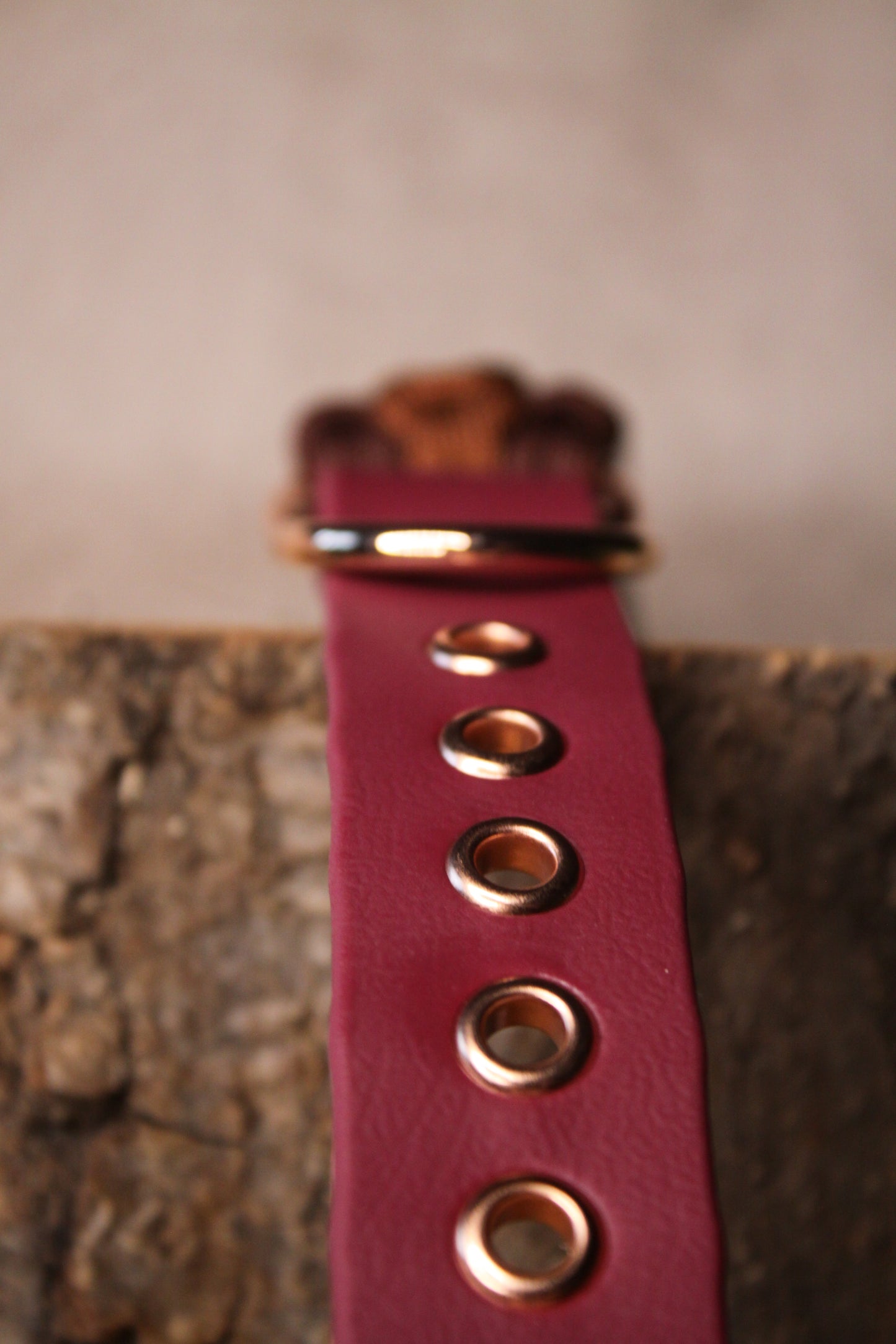Nahaufnahme der Adapterlöcher des Biothane®-Verschlusses in Faded Berry mit Roségoldösen – hochwertiges Finish für handgefertigtes Hundehalsband.