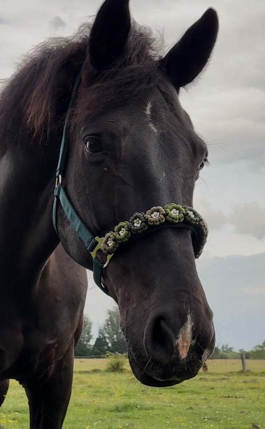 Schwarzes Pferd trägt ein individuell gefertigtes Halfter mit grünen Blumenapplikationen und dezenter Polsterung – elegante Optik auf der Koppel.