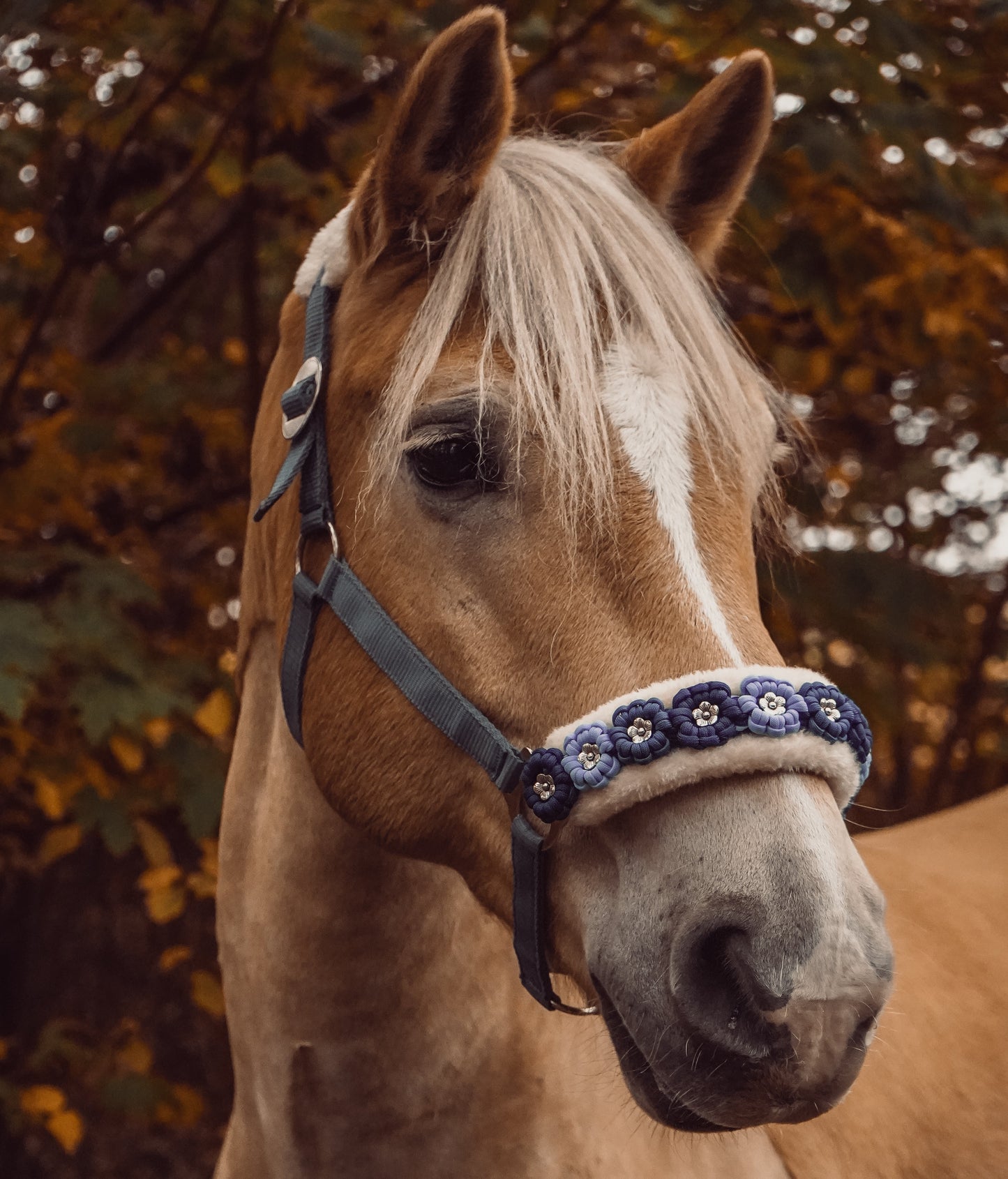 Blaues Blumen Halfter | wechselbares Teddyfleece