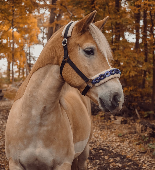 Schwarz-Blaues Blumen Halfter | wechselbares Teddyfleece