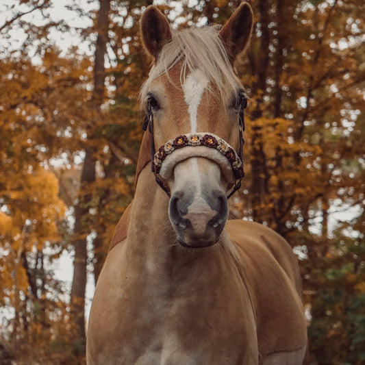 Rot-Beiges Blumen Halfter | wechselbares Teddyfleece