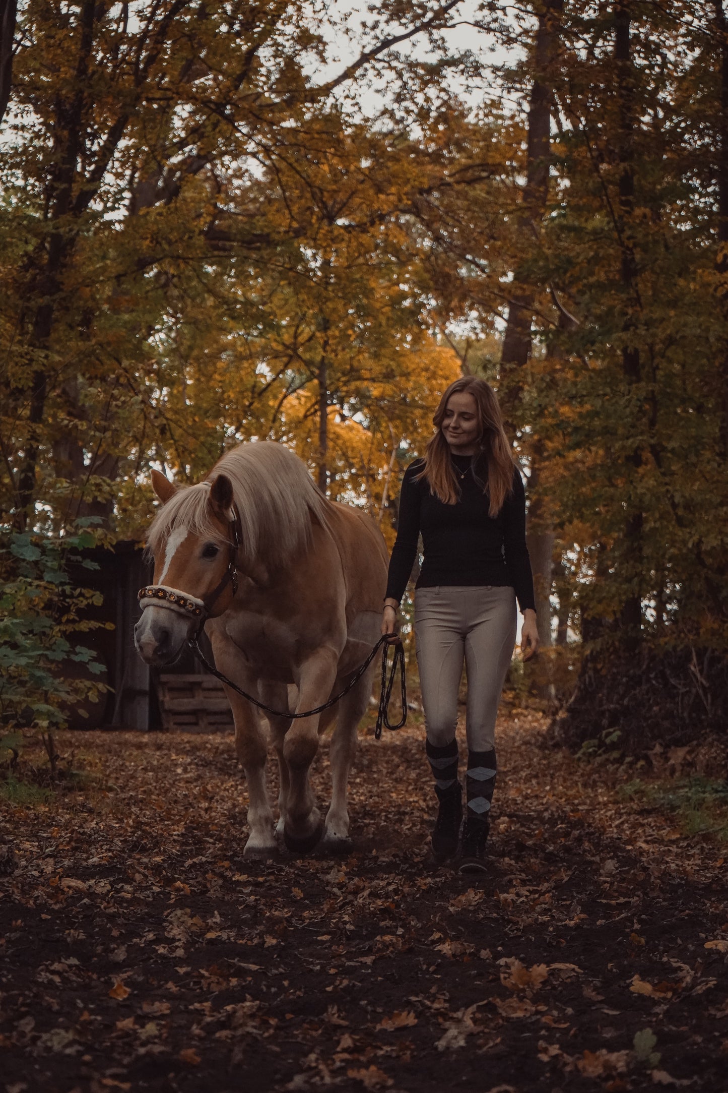 Rot-Beiges Blumen Halfter | wechselbares Teddyfleece