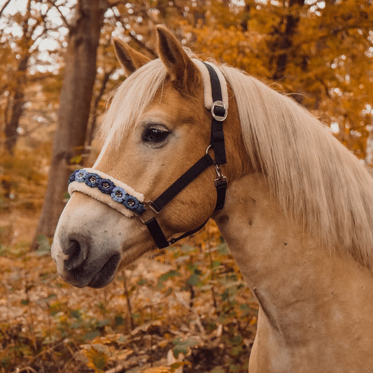 Schwarz-Blaues Blumen Halfter | wechselbares Teddyfleece