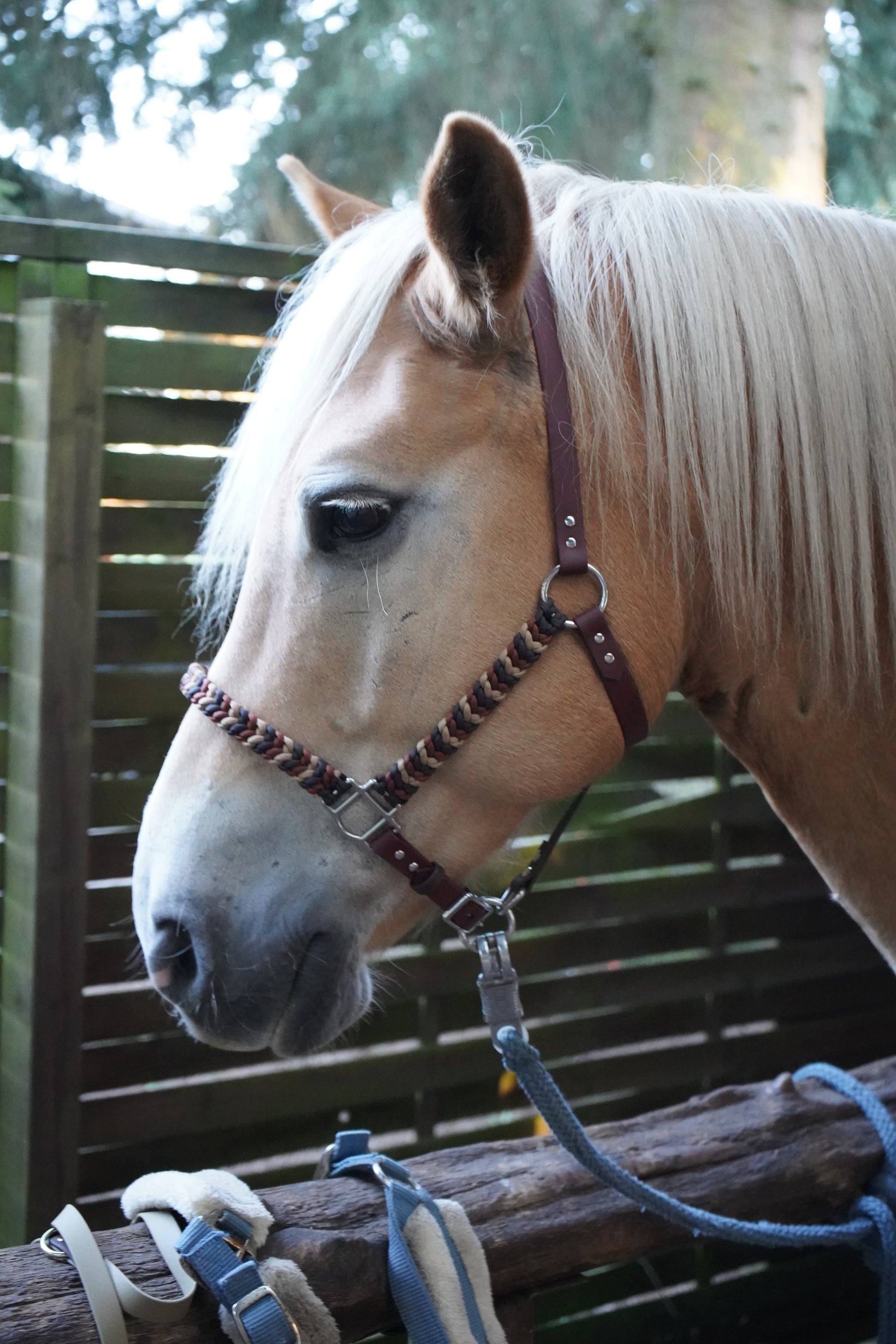 Seitenansicht des handgefertigten Paracord & Biothane® Halfters in Naturtönen – hochwertiges, pflegeleichtes Pferdezubehör von Pama.