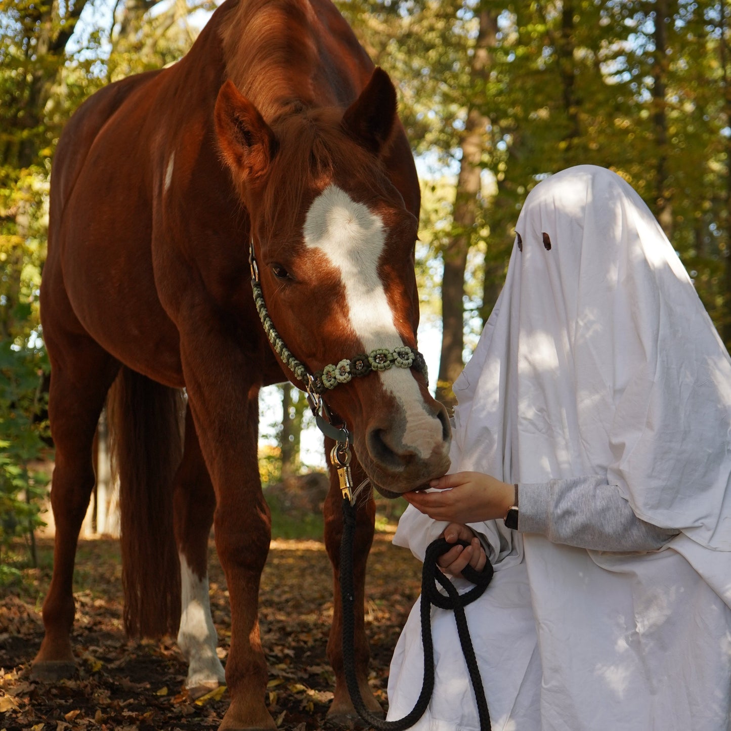 Blattgrün | Biothane® Paracord Halfter 25mm