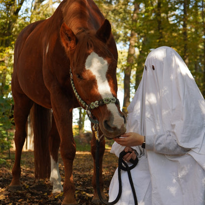 Blattgrün | Biothane® Paracord Halfter 25mm