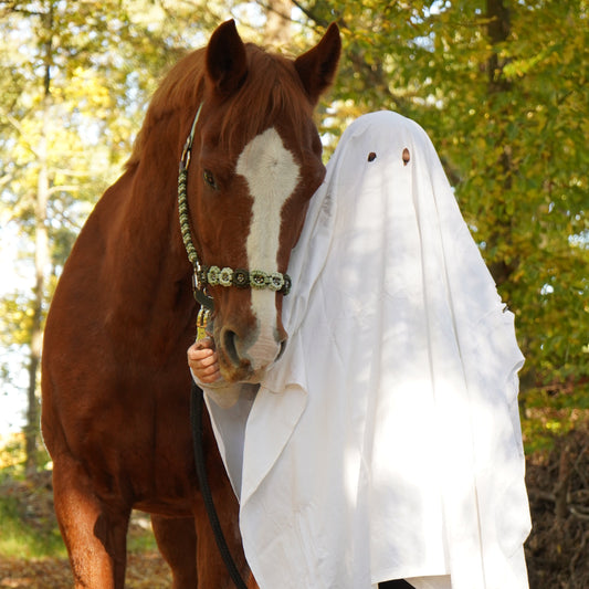 Blattgrün | Biothane® Paracord Halfter 25mm