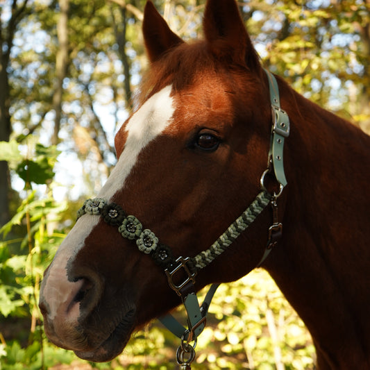 Blattgrün | Biothane® Paracord Halfter 25mm