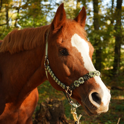 Blattgrün | Biothane® Paracord Halfter 25mm