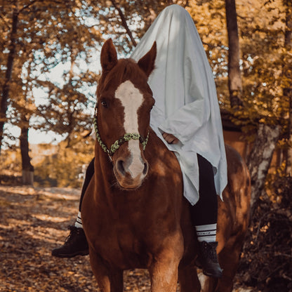 Blattgrün | Biothane® Paracord Halfter 25mm