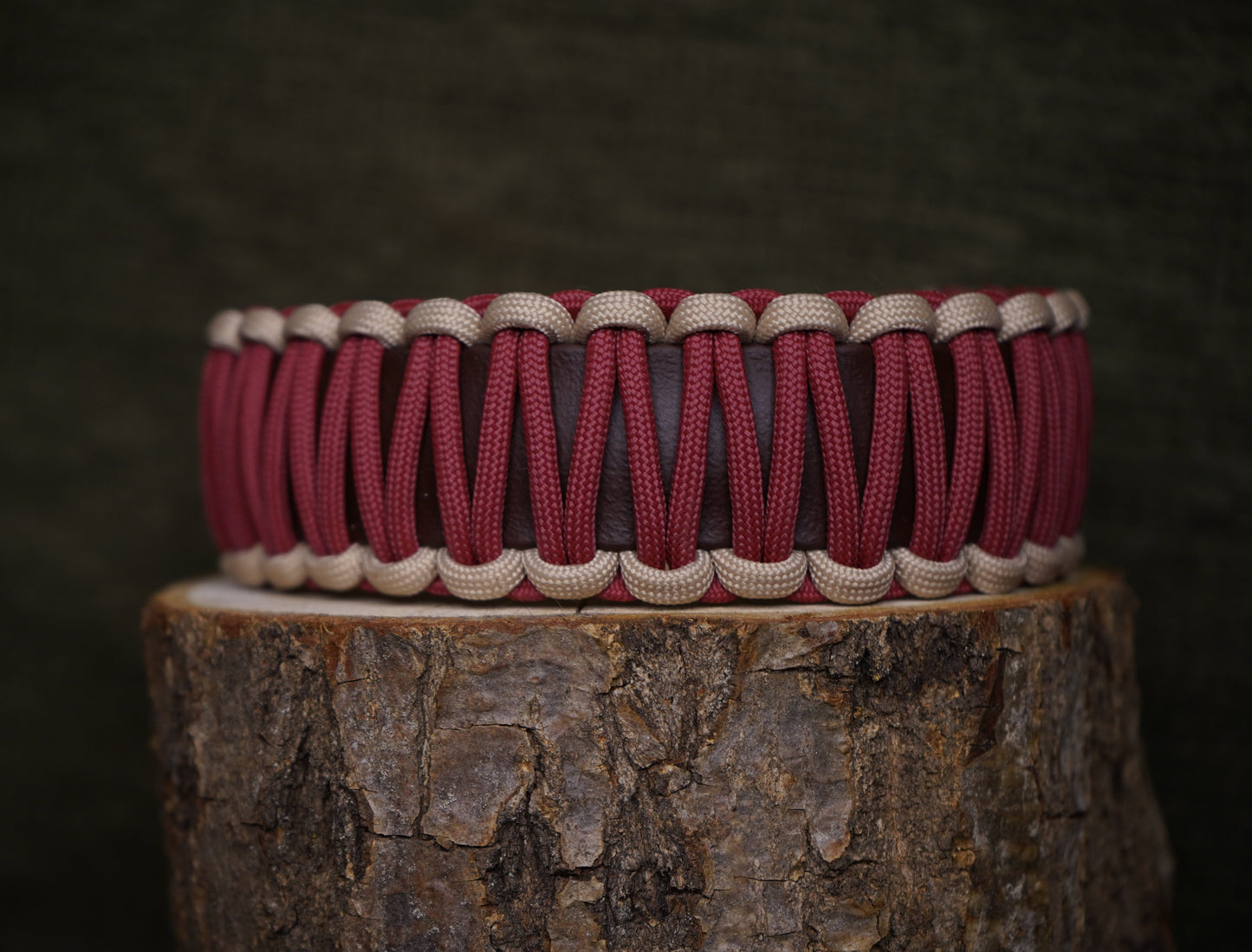 Modern Rot | Paracord & Biothane® Halsband