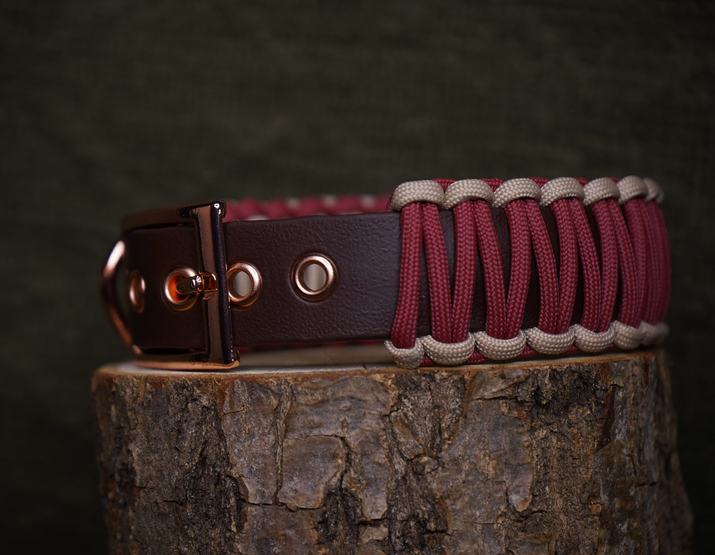 Modern Rot | Paracord & Biothane® Halsband