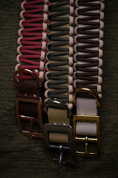 Modern Grün | Paracord & Biothane® Halsband