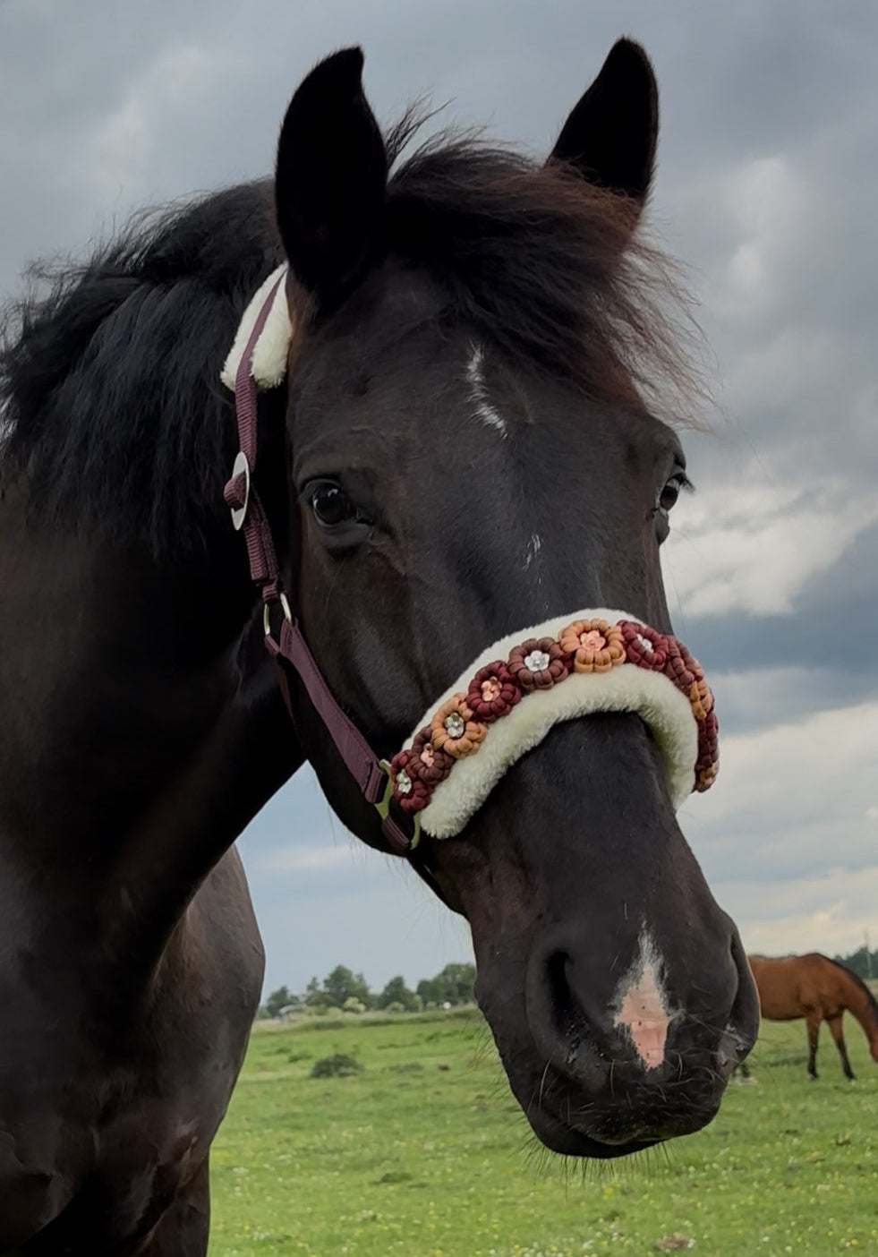 Schwarzes Pferd mit gepolstertem Halfter in Braun und Creme, verziert mit handgefertigten Blumenapplikationen in warmen Tönen auf grüner Weide.