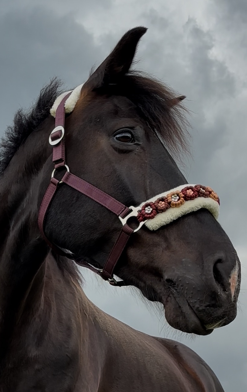 Seitenansicht eines Pferdes mit gepolstertem Halfter in Braun mit weißen Fleeceeinsätzen und braun-orangefarbenen Blumenapplikationen.